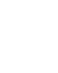 Logo Skaut